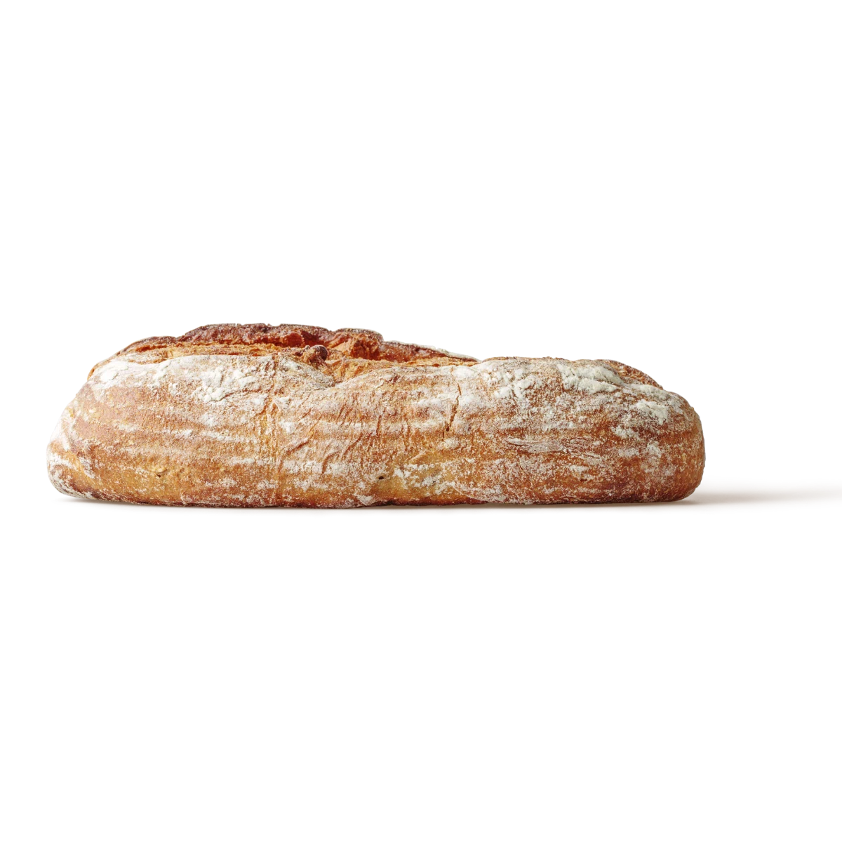 Italian Ciabatta